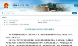 在线国产精品视频,视觉盛宴，情感共鸣