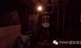 恐怖吓人短视频10秒,10秒恐怖短视频揭秘