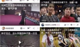 五一最新吃瓜爆料视频播放,热门视频播放背后的惊人真相