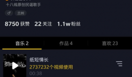 抖音短视频拍摄公司,打造爆款内容的秘密武器